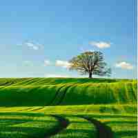 nodejs版﻿本‍太﻿高﻿